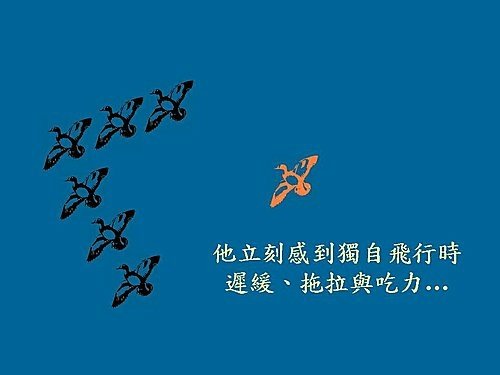 雁行理論  Flying geese theory (5).jpg