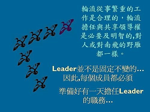 雁行理論  Flying geese theory (10).jpg