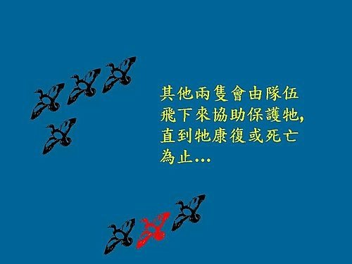 雁行理論  Flying geese theory (14).jpg