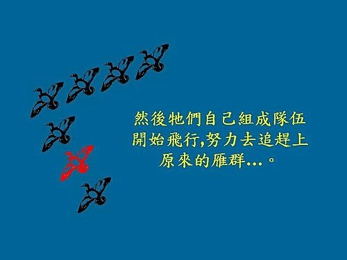雁行理論  Flying geese theory (15).jpg