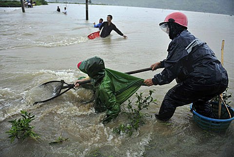 各國莫拉克颱風災情Typhoon Morakot (33).jpg