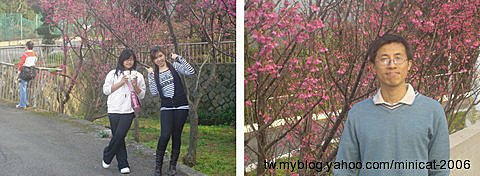 淡水八里櫻花之旅 TamSui Bali Sakura by charlene (6).jpg