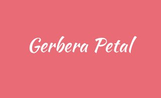 WW1_Gerbera Petal copy.jpg