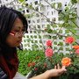 DSC00561.JPG