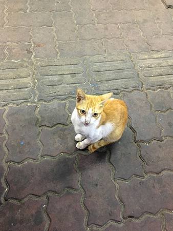 LR-IMG_3055.jpg