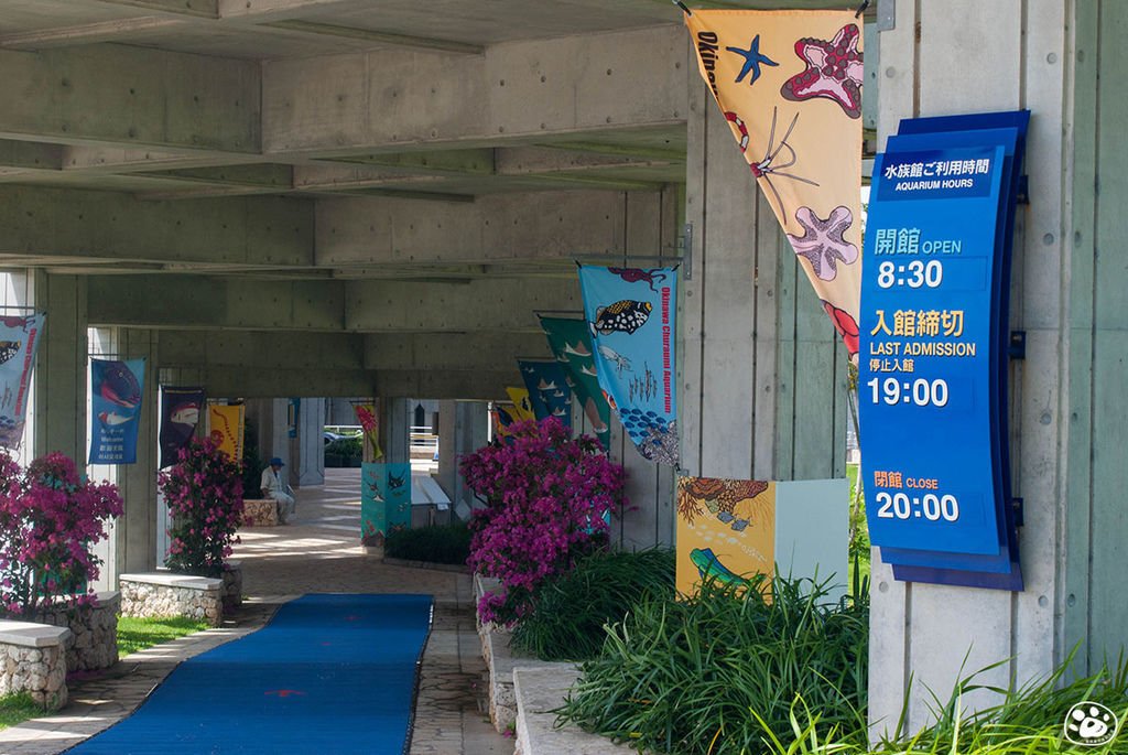 日本沖繩景點美麗海水族館 (8).jpg