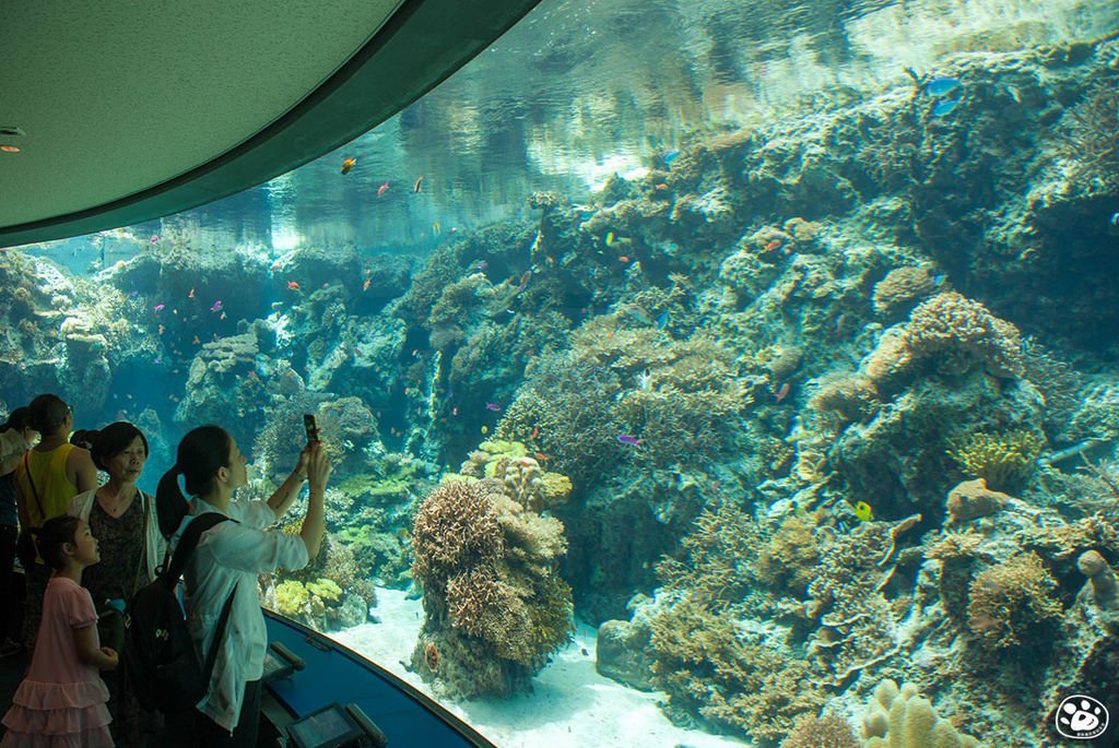 日本沖繩景點美麗海水族館 (17).jpg