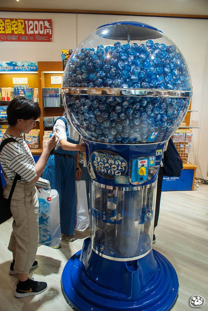 日本沖繩景點美麗海水族館 (27).jpg