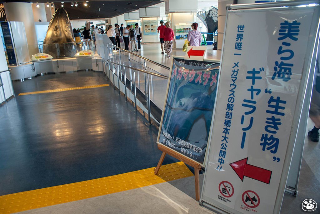 日本沖繩景點美麗海水族館 (32).jpg