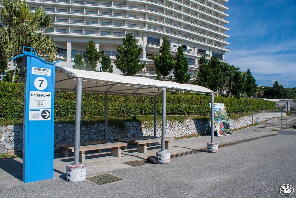 日本沖繩景點美麗海水族館－翡翠海灘 (16).jpg