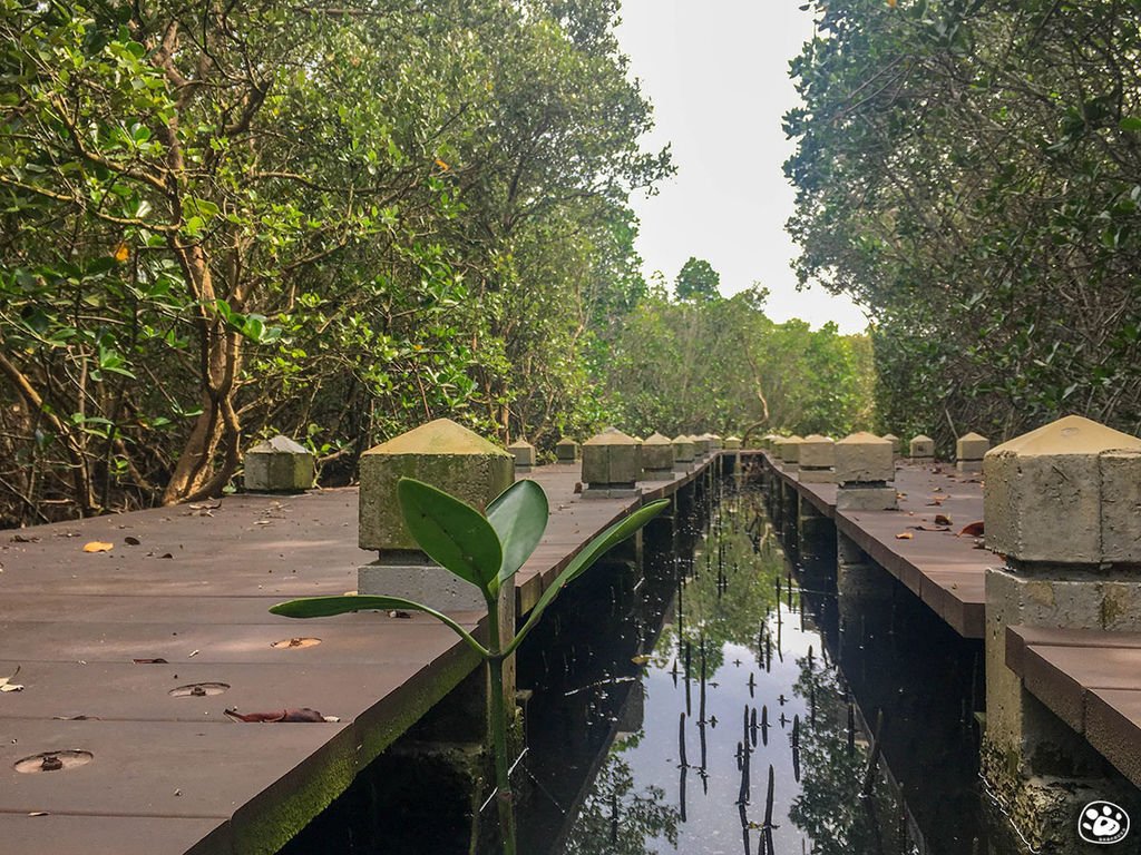 台南北門景點－雙春濱海遊憩區－ Vanaheim 愛莊園 (23).jpg