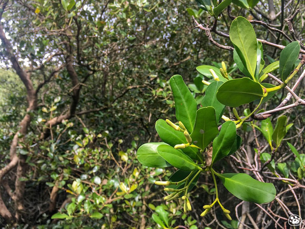 台南北門景點－雙春濱海遊憩區－ Vanaheim 愛莊園 (24).jpg