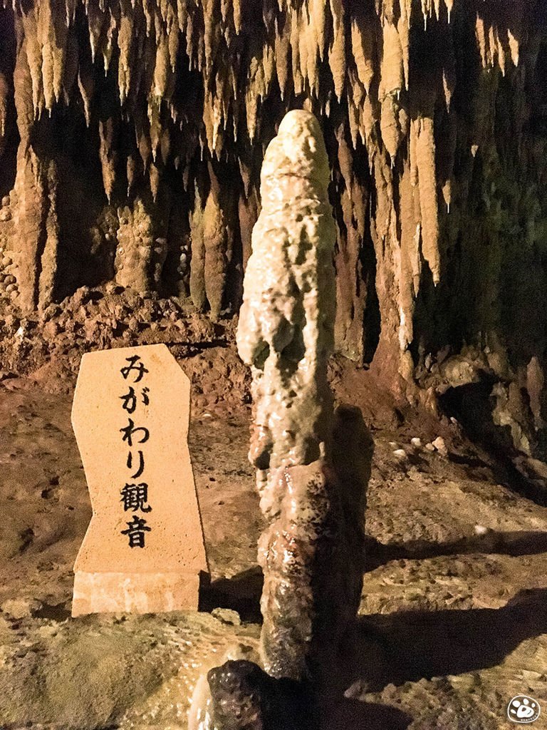 貓與蟲-日本沖繩世界文化王國-玉泉洞 (7).jpg