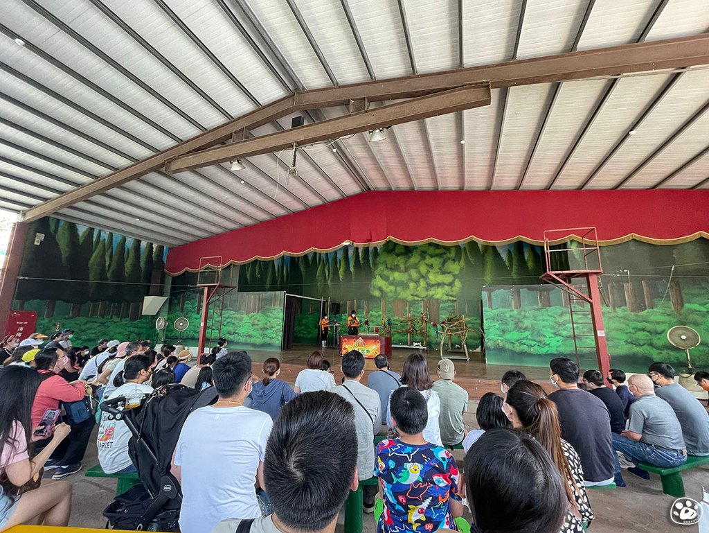 台南頑皮世界2022遊樂園動物園一日遊親子景點票價營業時間水豚狐蒙表演場次公車停車收費 (30).jpg