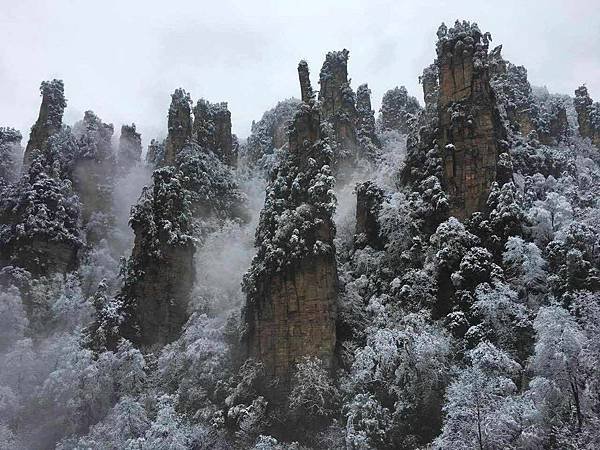 剛下完雪的天子山 (3)