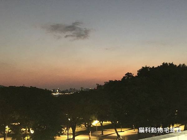 不專業淡水夕陽.jpg