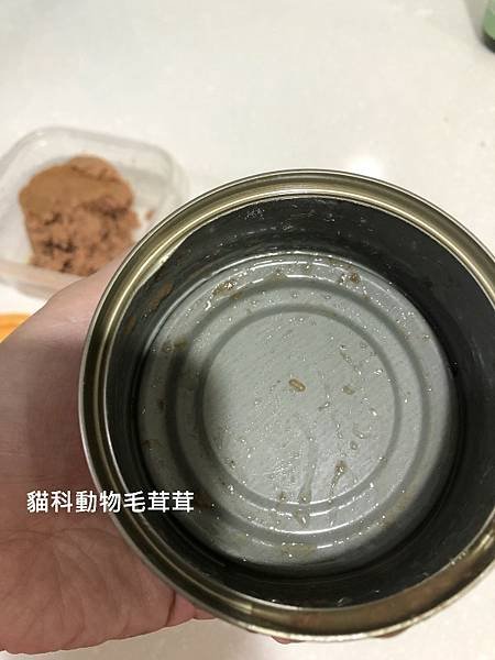 貓吉食器時代-罐罐挖乾淨.jpg