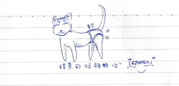 客人留言 1031 2 短褲貓002.jpg