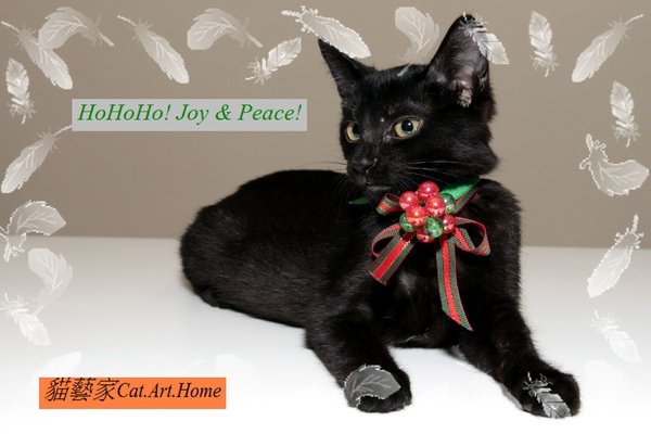 1222XmasCard6 朵朵.jpg