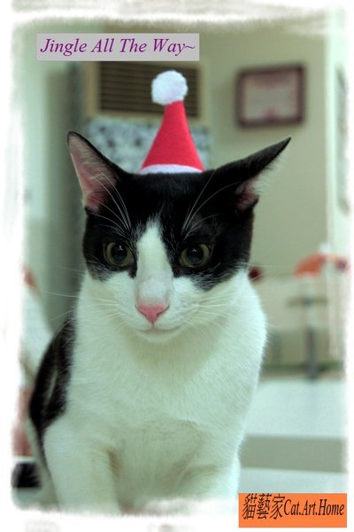 1222XmasCard3 阿薰.jpg
