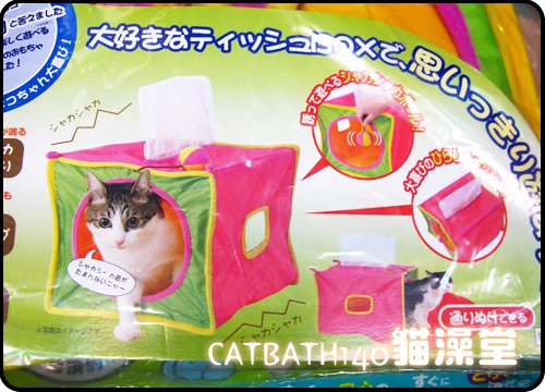 cat0422-8.jpg