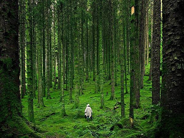 hiker-scottish-highlands_45675_990x742