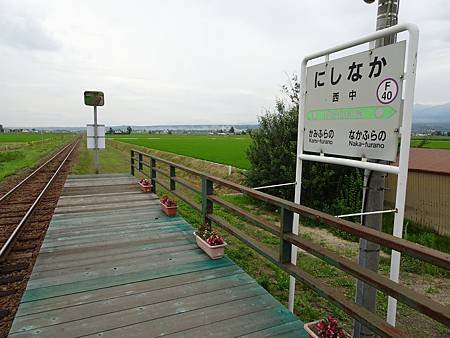 DSC00314