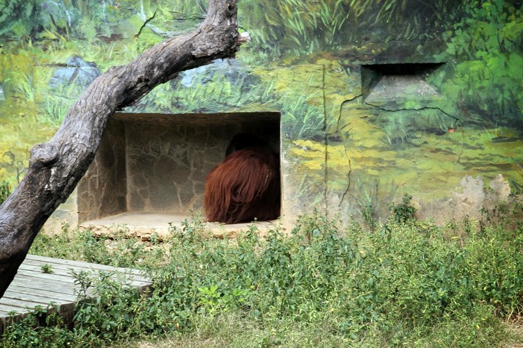 新竹動物園