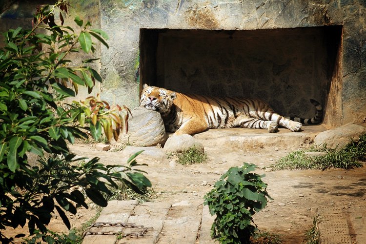 新竹動物園