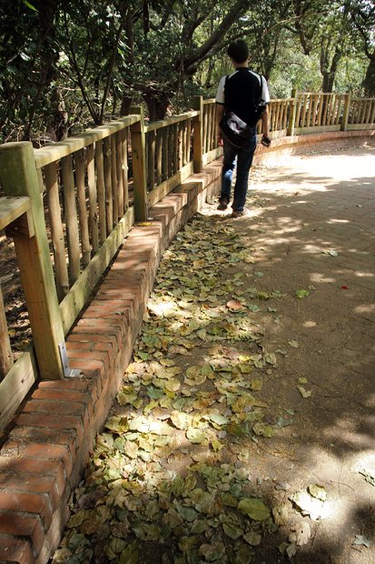 新竹動物園