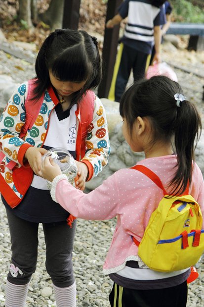 彰化芬園挑水古道桐花