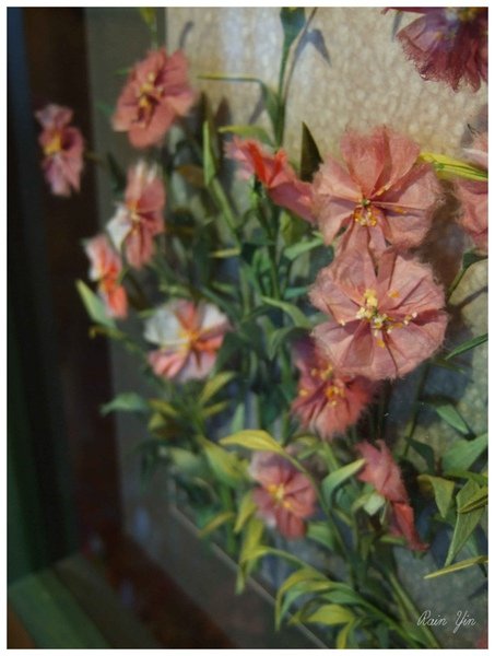 DSCF6611.jpg
