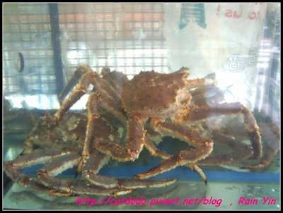 DSCF7289.jpg