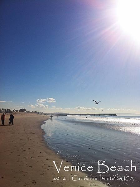 Venice Beach (21)-編輯