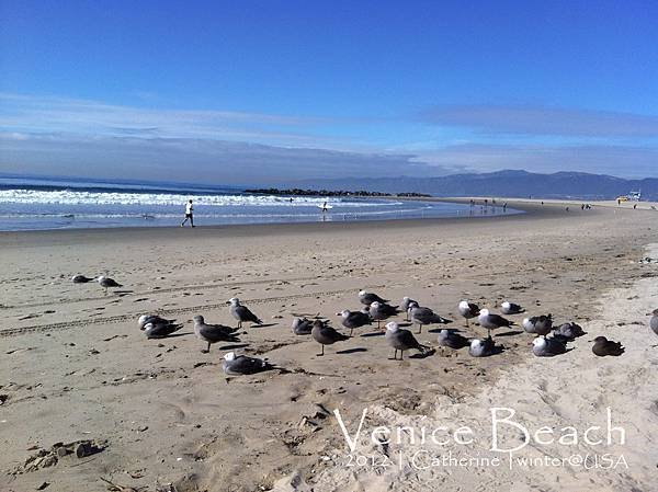 Venice Beach-編輯