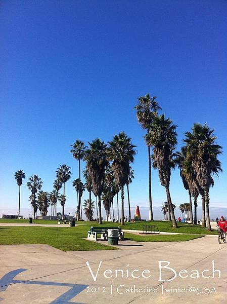 Venice Beach (14)-編輯