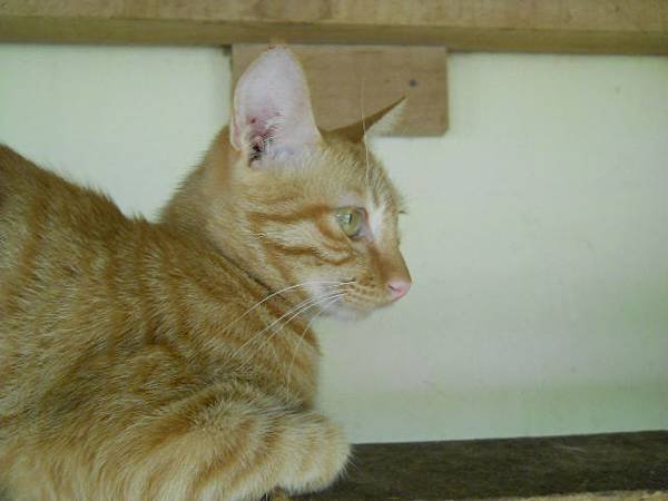 DSCN8179