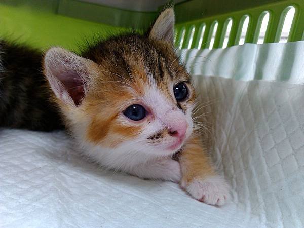 IMG_20120902_105000 (複製)
