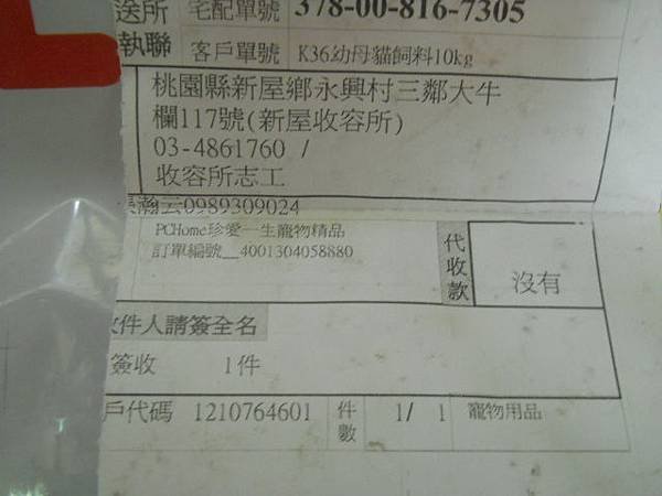 DSCN9766