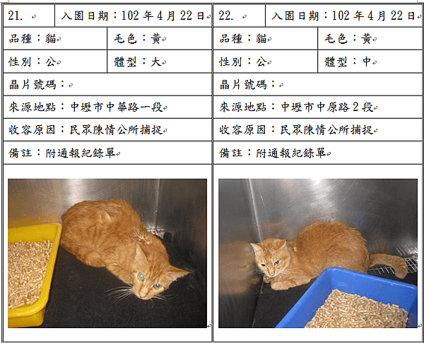 cat042303