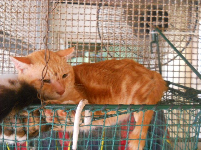 DSCN0377