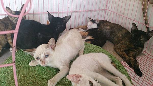 2013-08-17 10.36.25.jpg