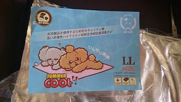 2013-08-17 10.40.47.jpg