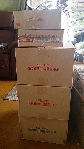 2013-08-17 10.42.27.jpg