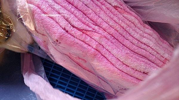 2013-08-17 11.32.02.jpg