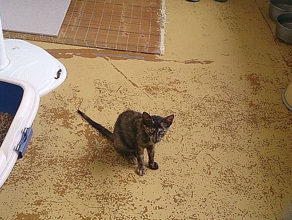 2013-08-17 11.47.24.jpg