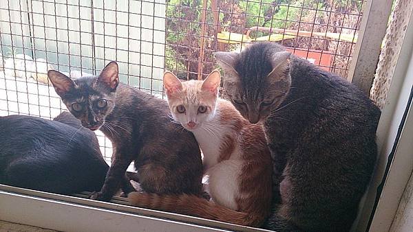2013-08-17 11.48.50.jpg