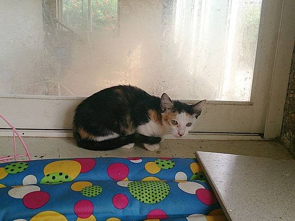 2013-08-17 14.58.09.jpg