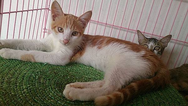 2013-08-17 14.58.37.jpg