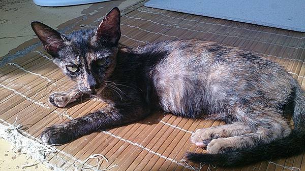 2013-08-17 14.59.17.jpg
